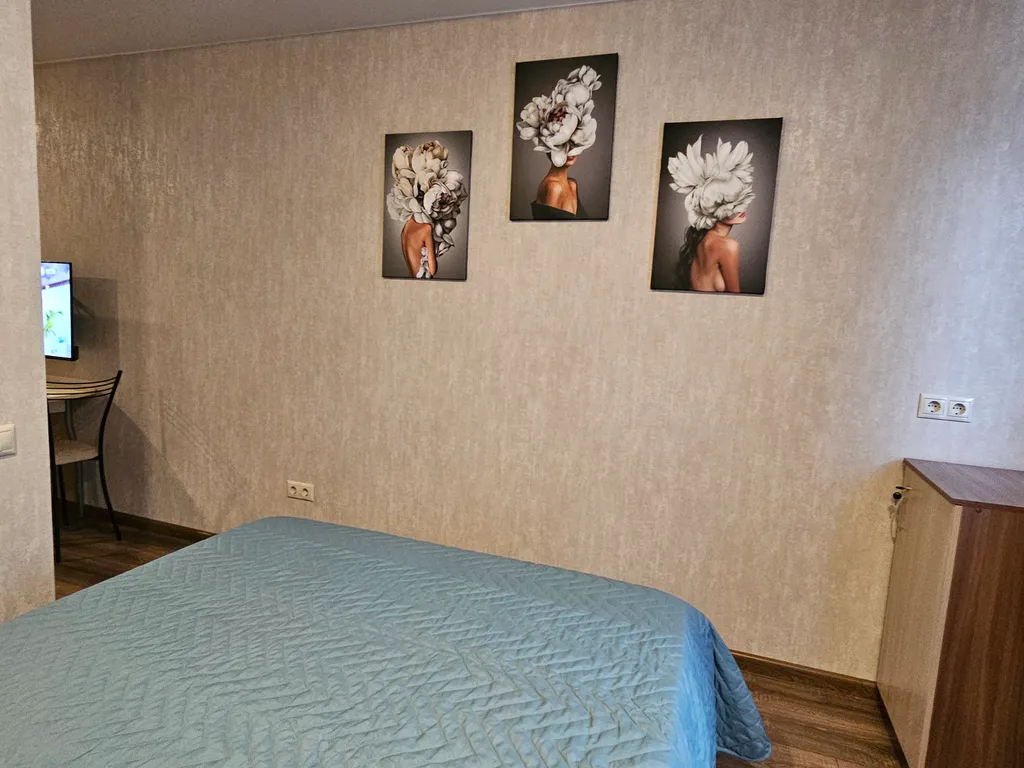 Улучшенная студия вблизи метро Парнас