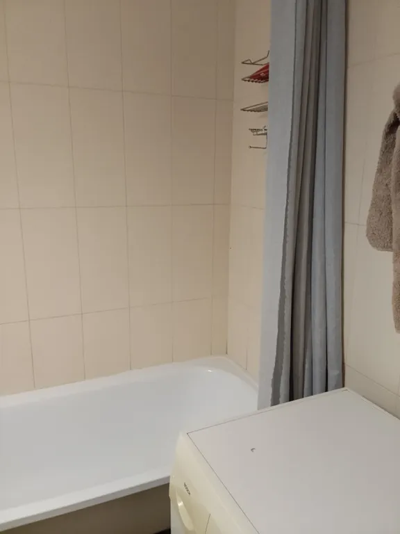 Уютная однокомнатная квартира