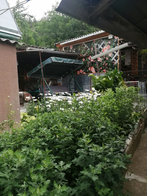 Коттедж Коттедж Квартира на земле — Кисловодск