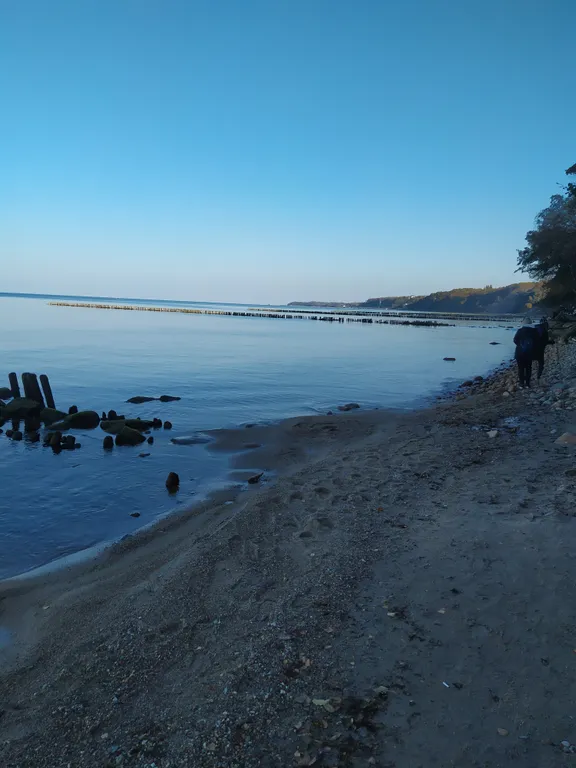 Апартаменты у моря в санаторно-курортной зоне