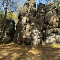 Нина Петкер