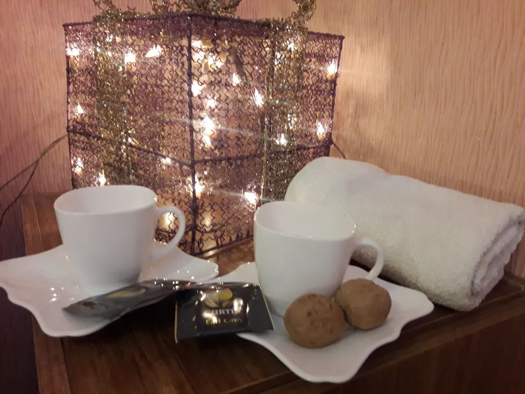 Огромная квартира в центре