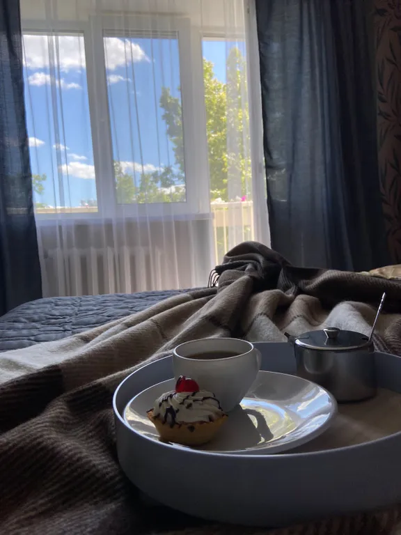 Стильная квартира  в центре Рязани "Рязанский Арбат"