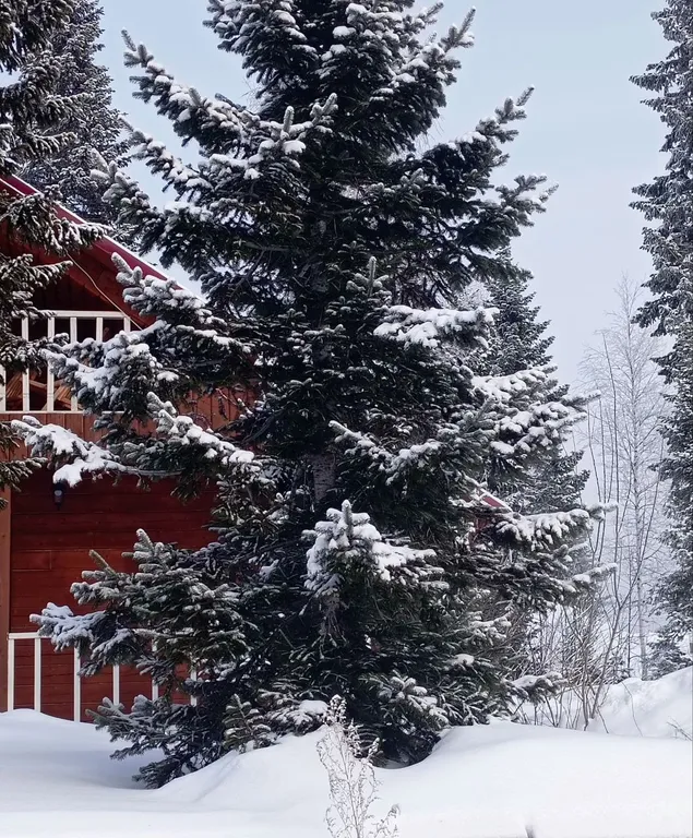 Уютный дом с видом на гору