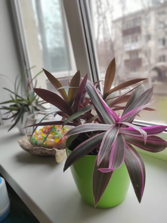 Уютная двухкомнатная квартира для комфортного проживания