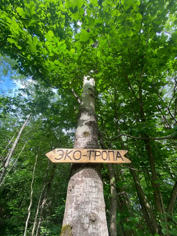 Эко-дом с горячей джакузи и профессиональным грилем на террасе