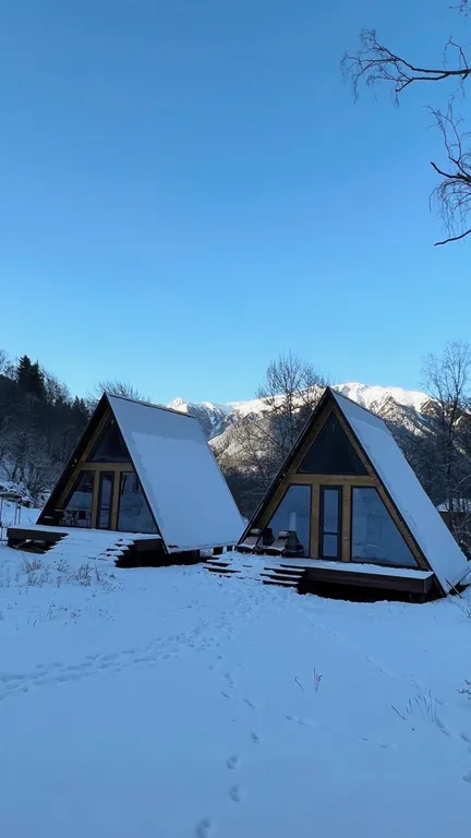 Живописный уголок в лесу вдали от городской суеты
