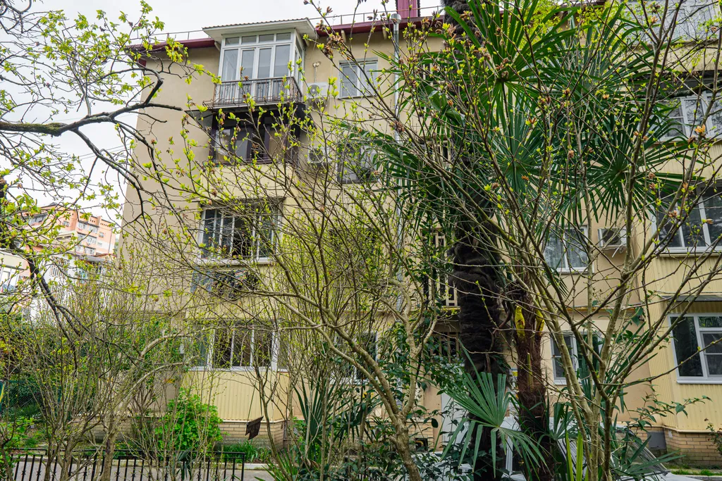 Шестиместная квартира в Хосте