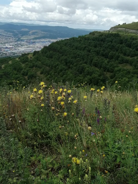 Коттедж Уютный дом для отдыха — Новороссийск