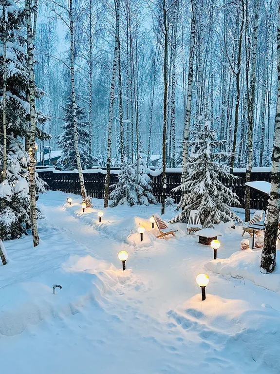 Новый панорамный барнхаус с сауной на лесном участке