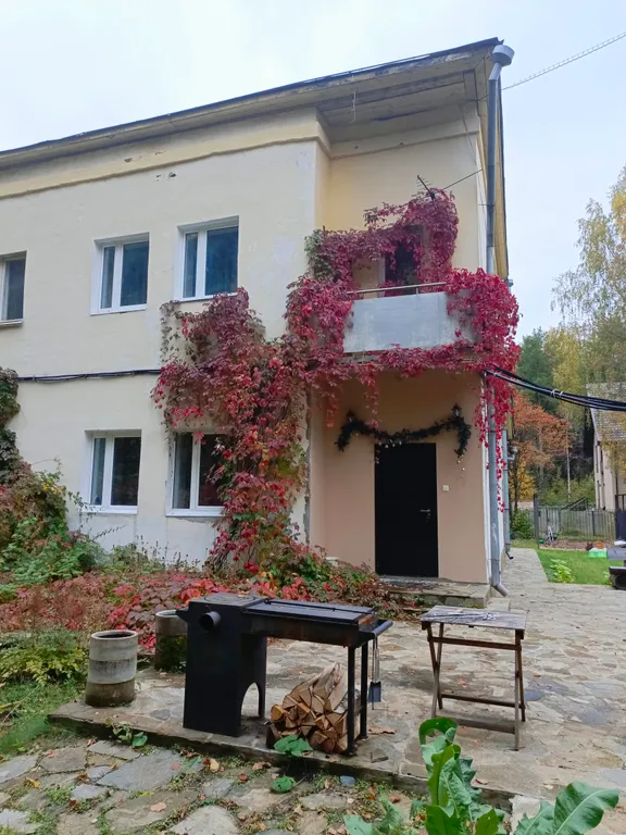 Гостевой дом Профессорский, коттедж в лесу недалеко от центра города