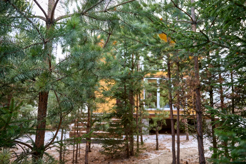 Домик в лесу