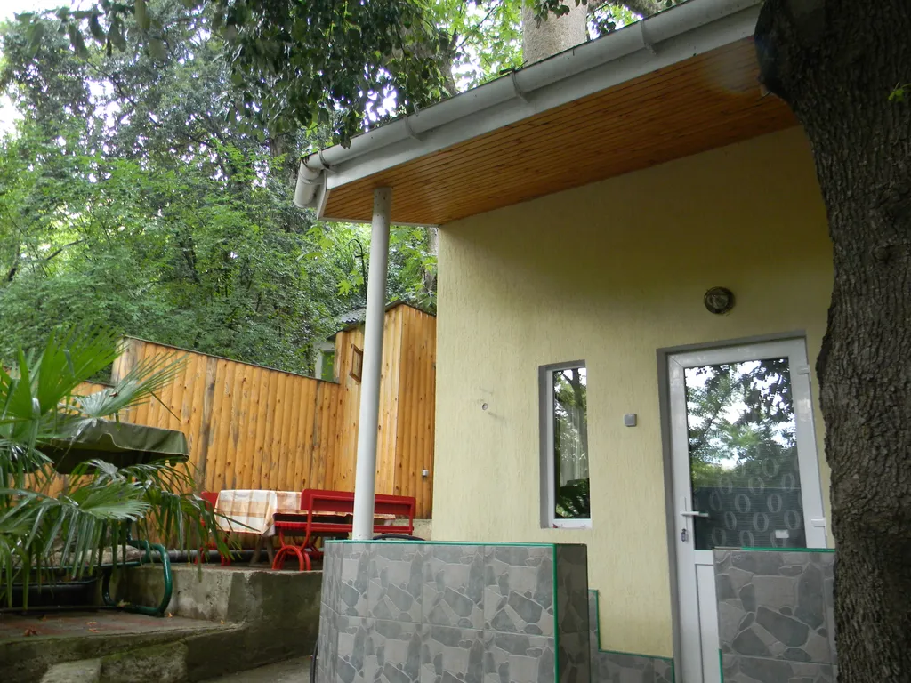 Дом с видом на лес