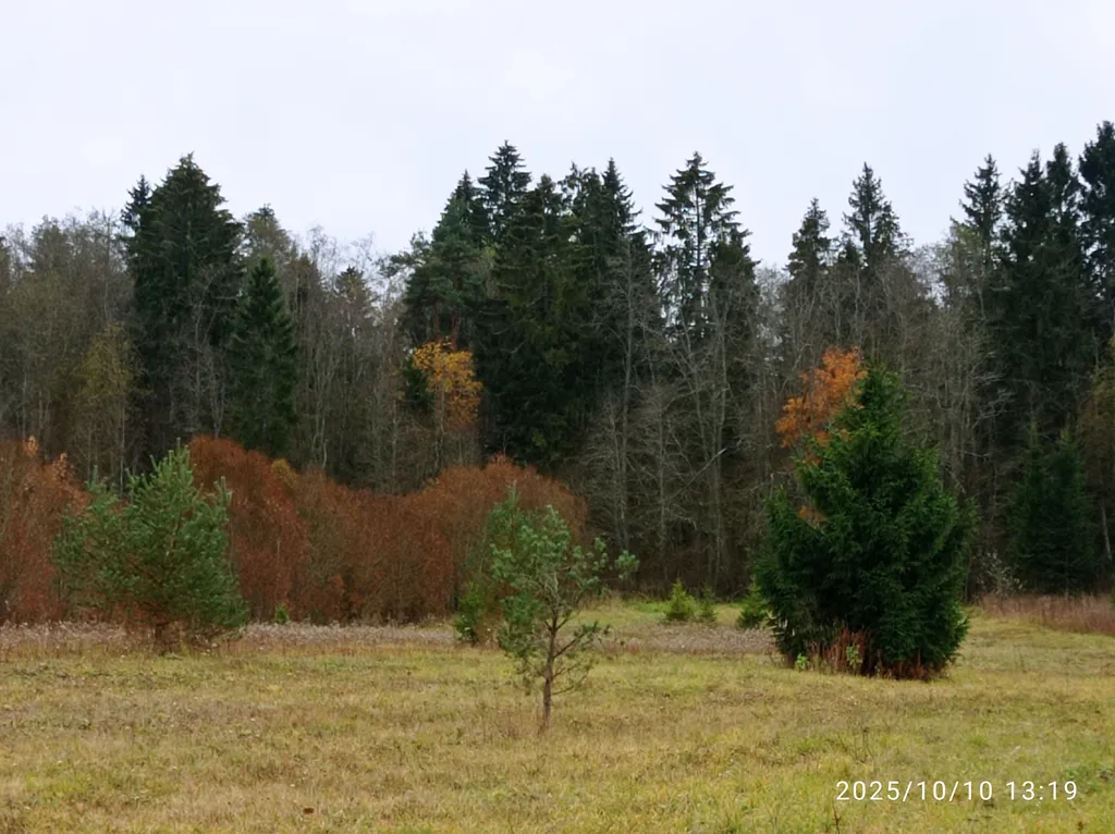 Коттедж Домик хоббита — Синковицы
