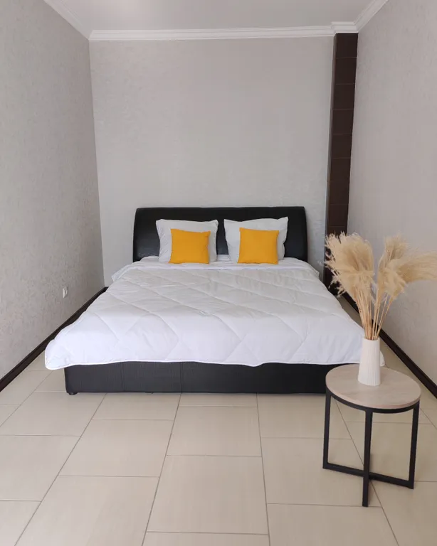 Квартира студия — аренда посуточно в Абакан