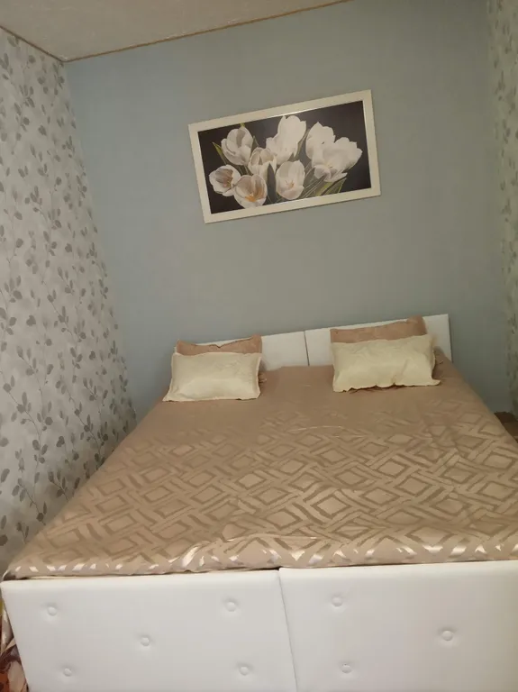 Комфортная квартира в центре