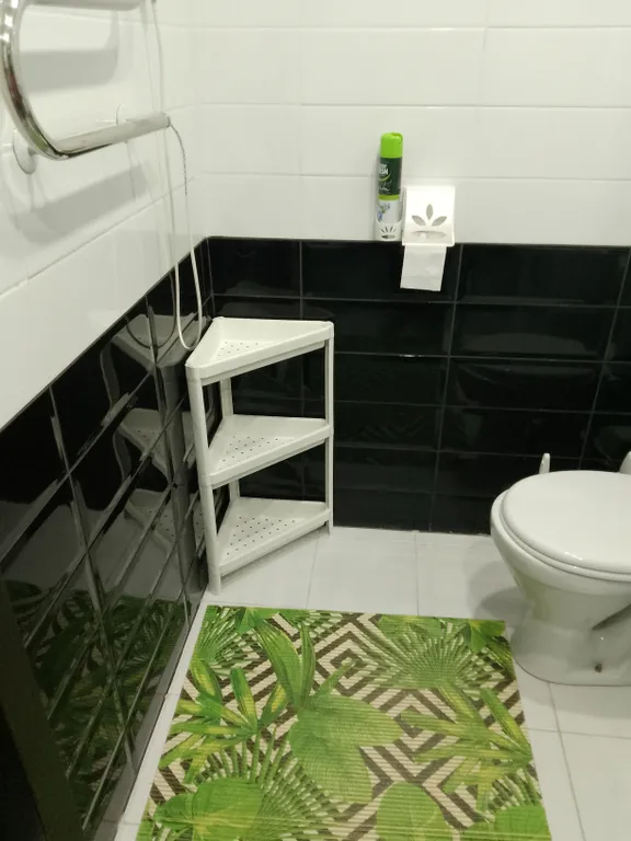 Апартамент на берегу моря Звёздный берег