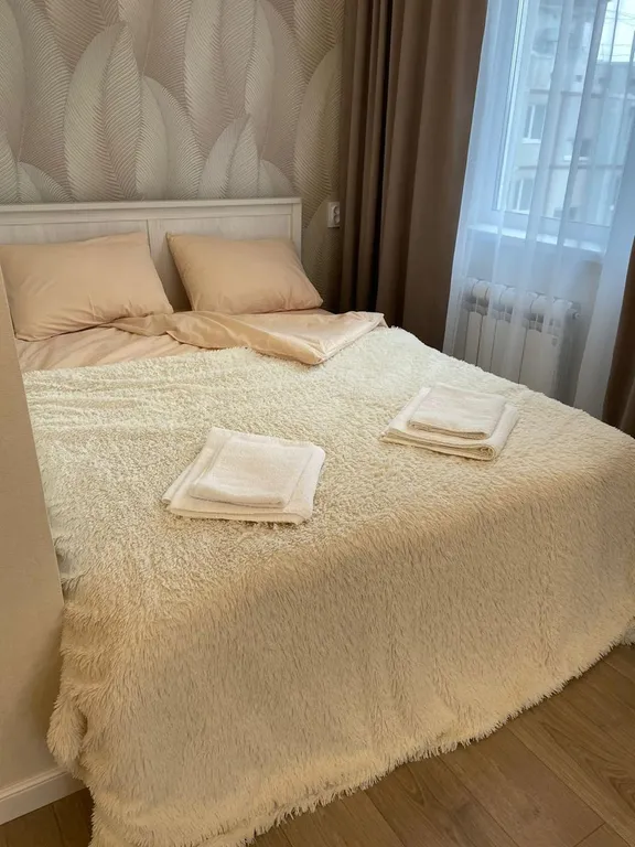 Шикарная просторная квартира в центре — аренда посуточно в Тула