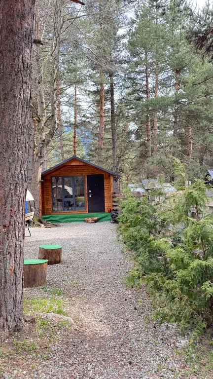 Уютный Домик в лесу!