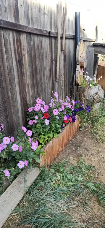 Студия с диваном