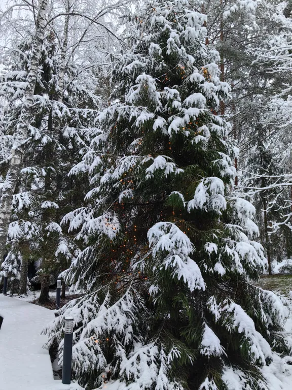 Уютный дoм a-frame