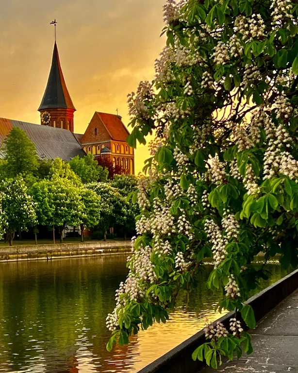 Квартира Квартира Сапфировый вечер с видом на кафедральный собор — Калининград