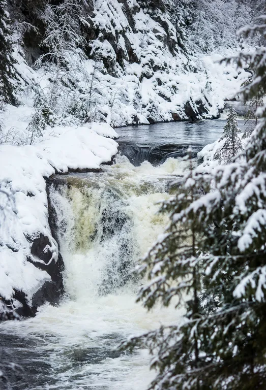 Онежский домик - атмосфера тепла и уюта
