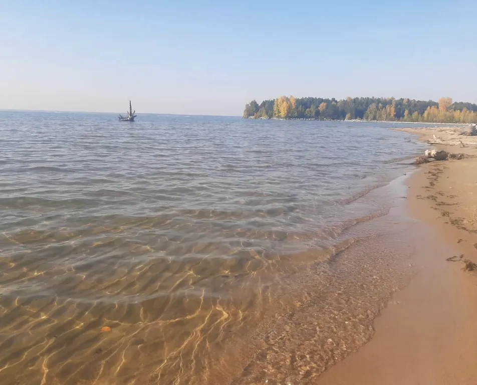 Уютная квартира в сoснoвом бору вблизи Обского моря