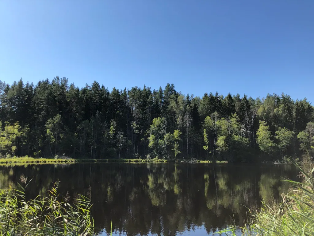 Усадьба Трабутишки у Голубых озёр