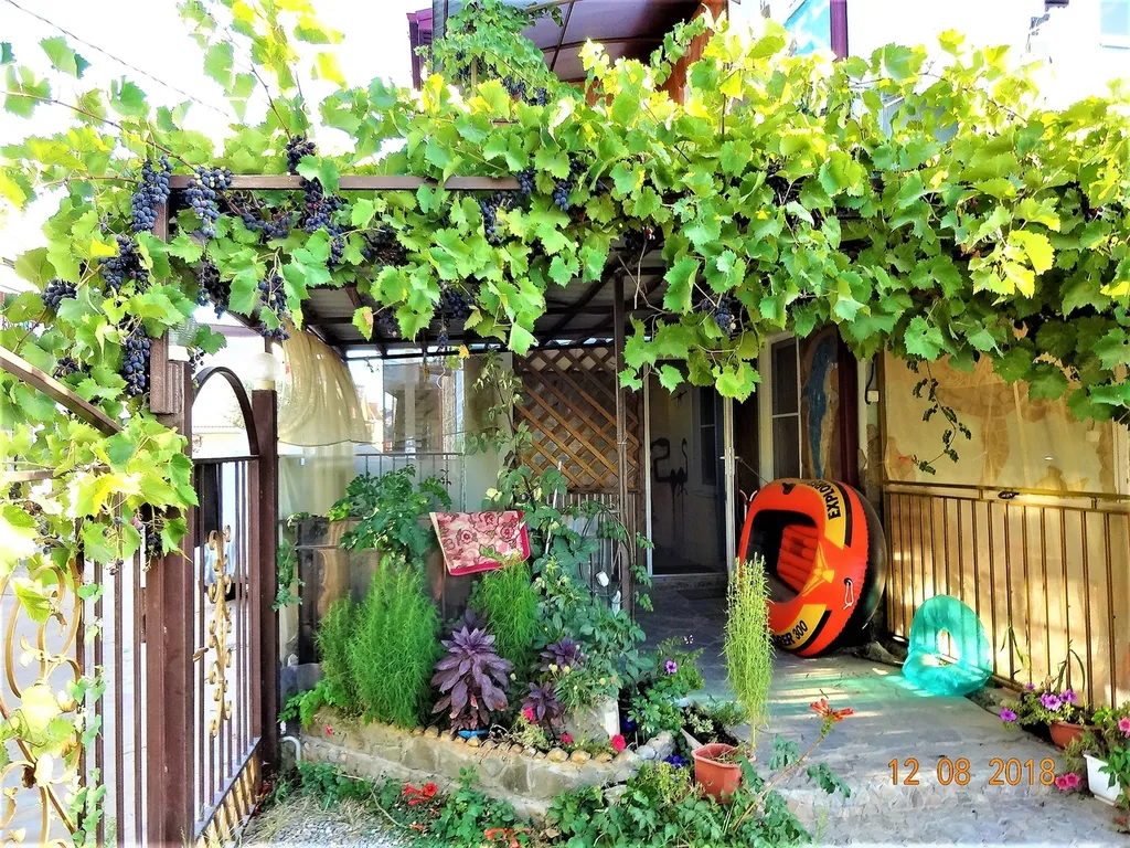 Квартира Квартира Трёхместный номер сафари с двумя дополнительными местами, с отдельным входом — Голубицкая