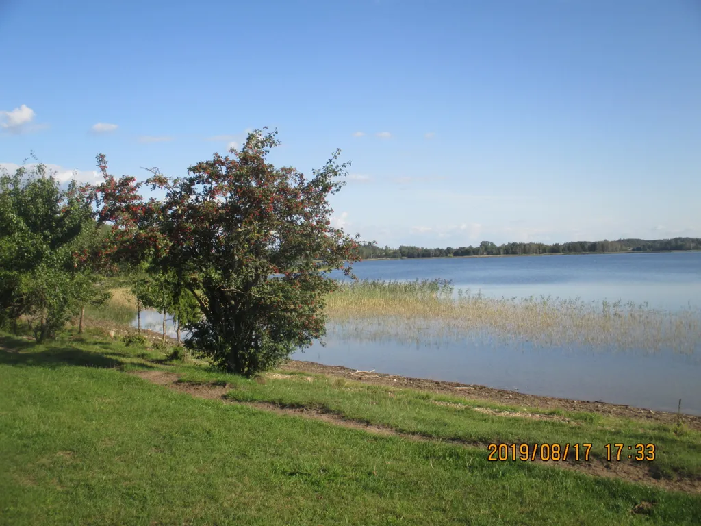 Коттедж на хуторе на Браславских озерах