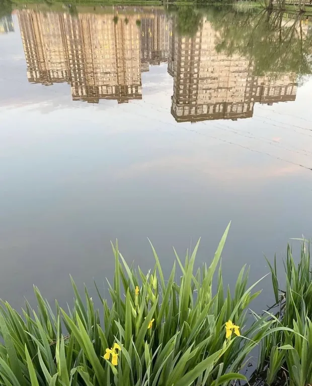 Квартира Красивая большая квартира рядом с метро — Москва