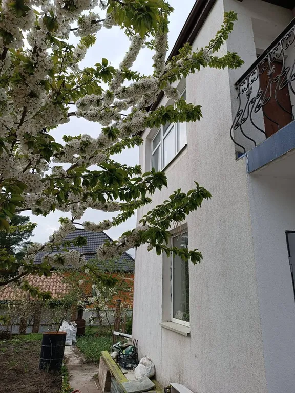 Дом с баней