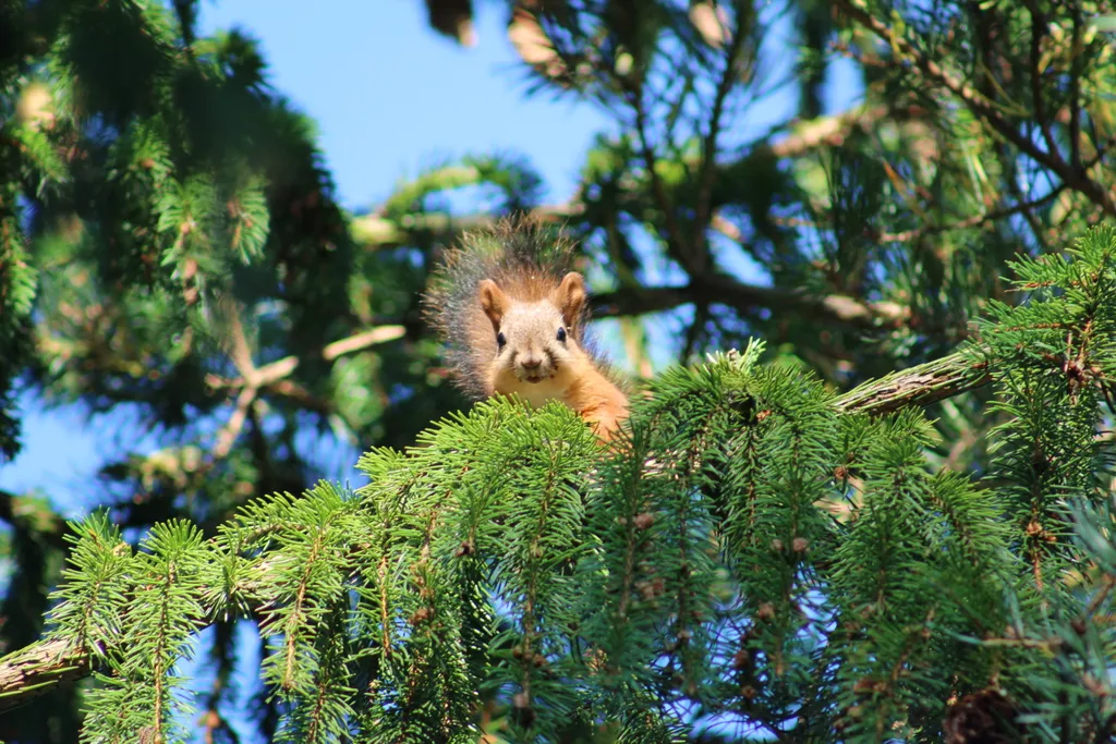 Коттедж Тёплый коттедж с баней на очень большой уединённой территории — Кротово