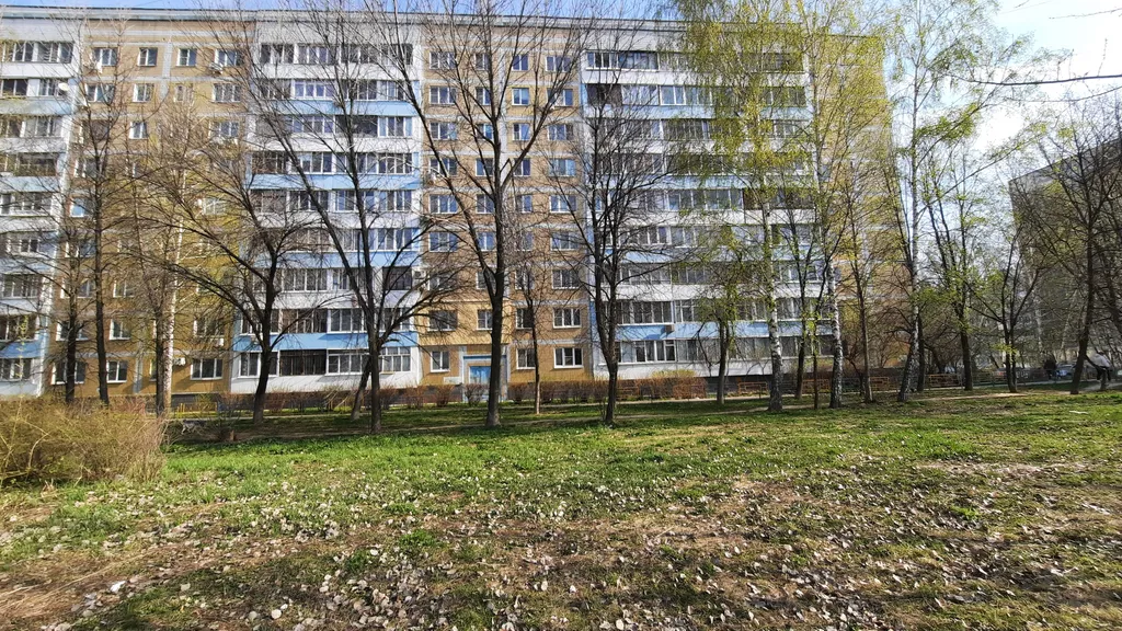 Уютная студия у Ледового и Европы