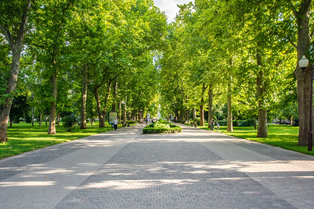 Квартира Уютная квартира в самом центре — Краснодар