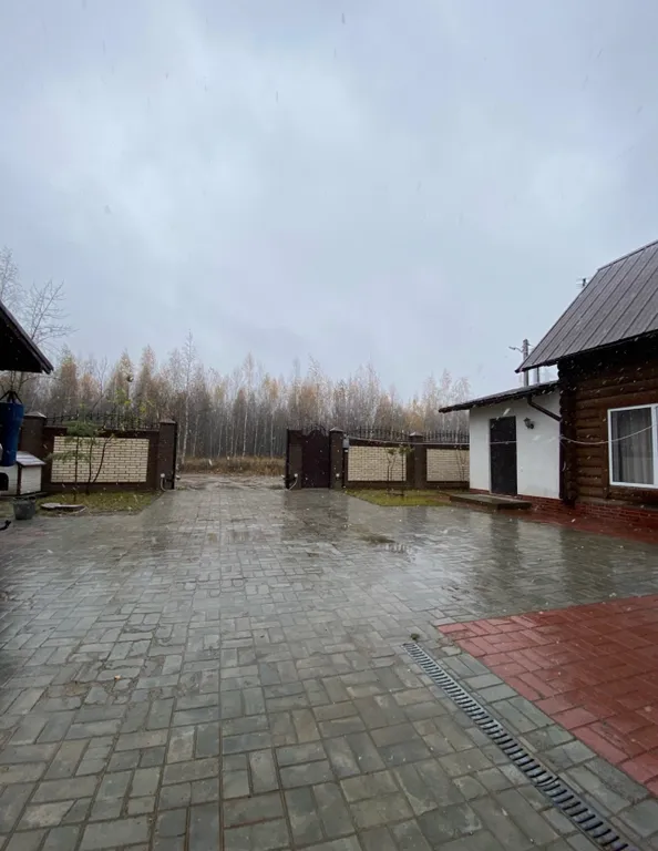 Лесная сказка