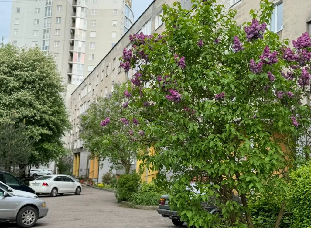 Уютная квартира в историческом центре Калининграда