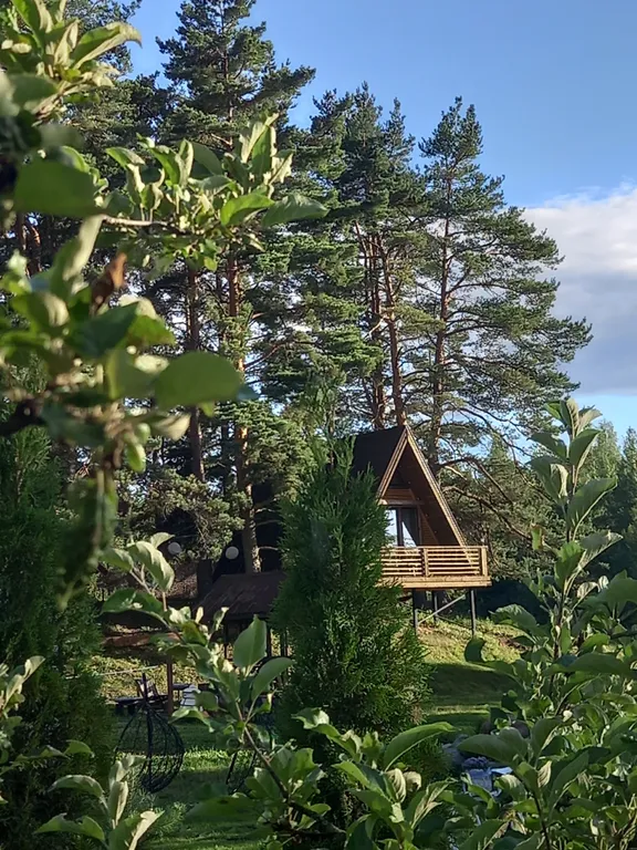 Дом под соснами