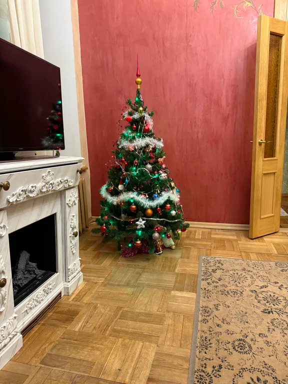 Квартира Отдельная квартира у метро — Санкт-Петербург