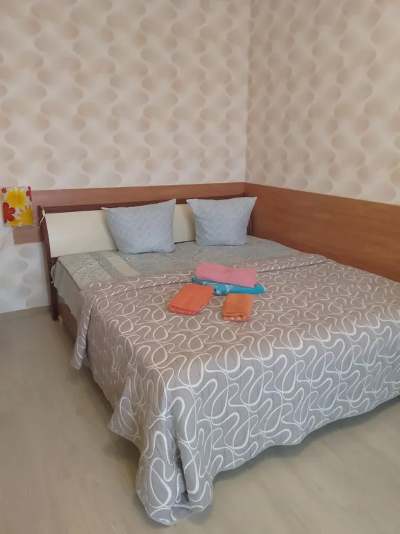 Квартира на сутки, автовокзал, мегагринн — аренда посуточно в Орёл