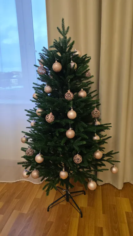 Просторная двухкомнатная квартира в центре города