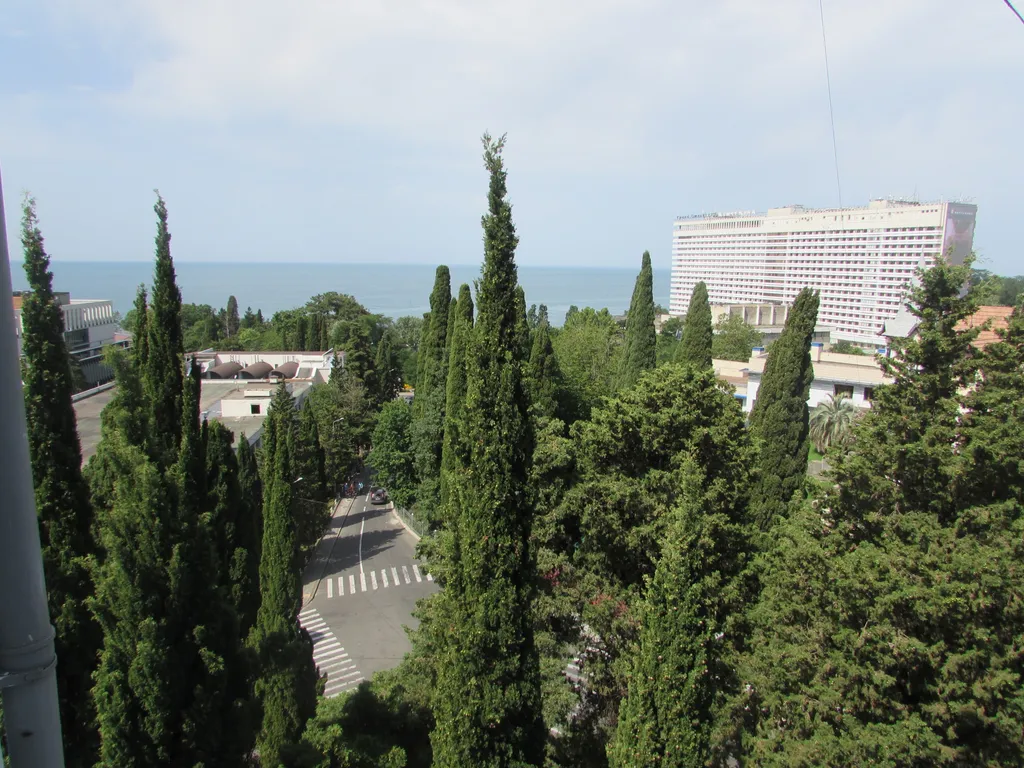 Квартира 1-комнатная Квартира — Сочи