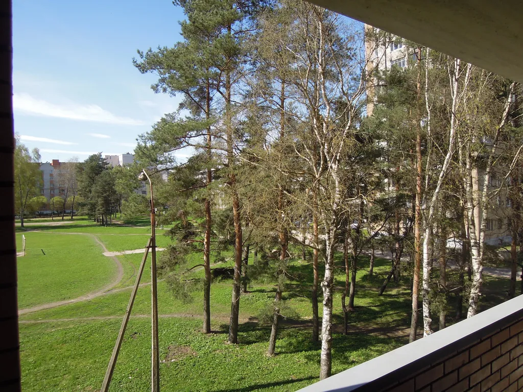 Апартаменты в новом доме у храма Невского и Мирожского дендропарка