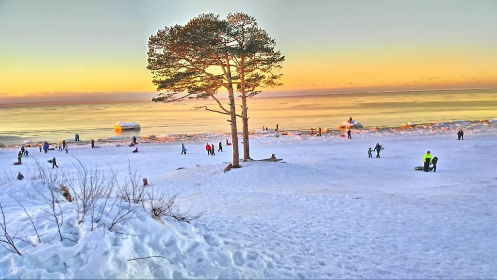 Уютная квартира в ЖК Нахимов рядом со Звёздочкой