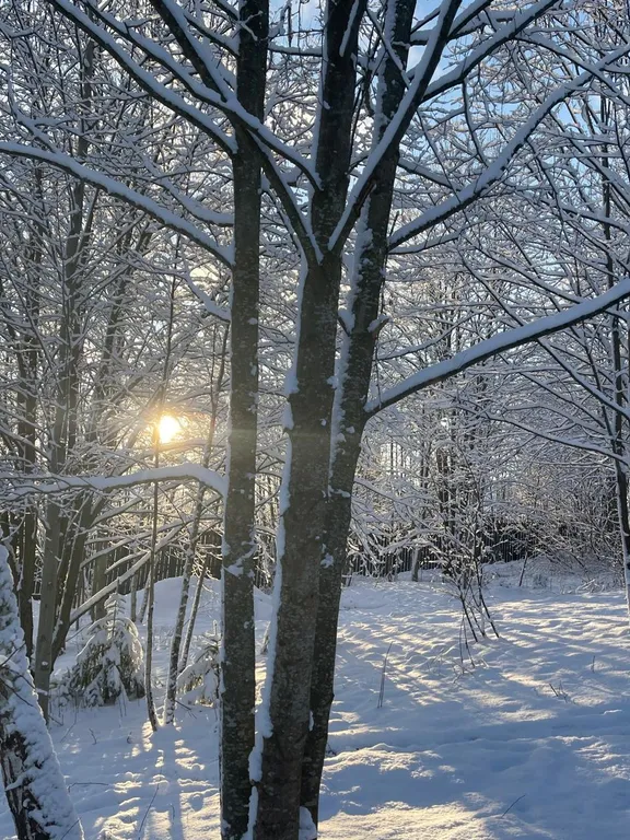 Дом в облаках у леса