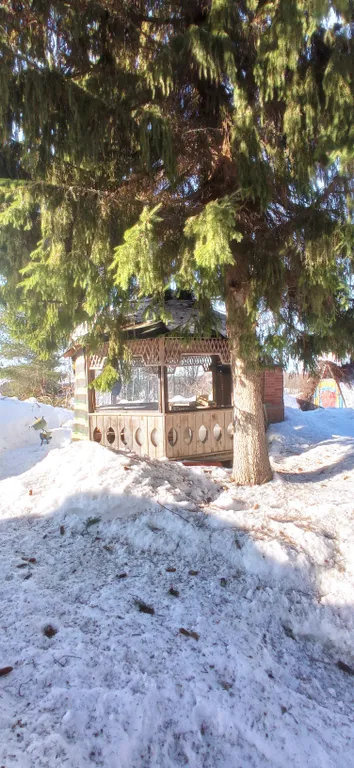 Домик у леса