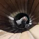 Надежда