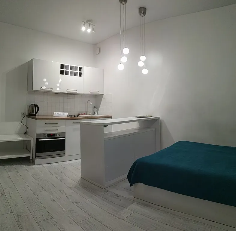 Студия в скандинавском стиле .