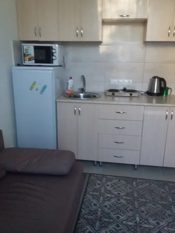 Квартира 1-комнатная Квартира — Сириус